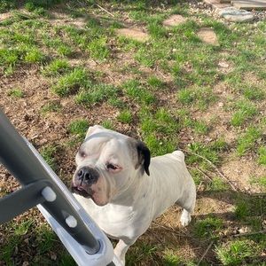 Meet your Posher, Chloe